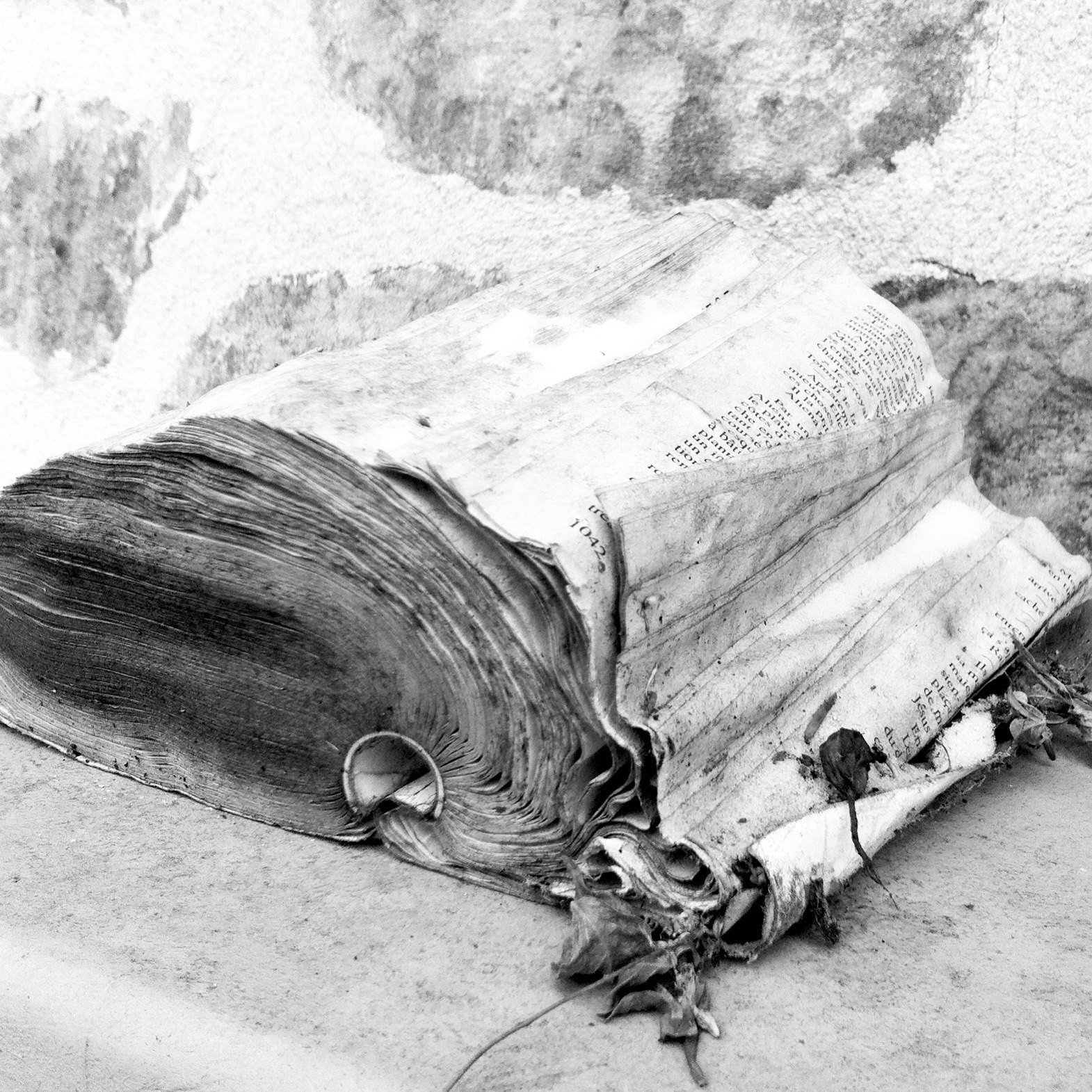 photo © AAPERTURA, Carnet I, 2014