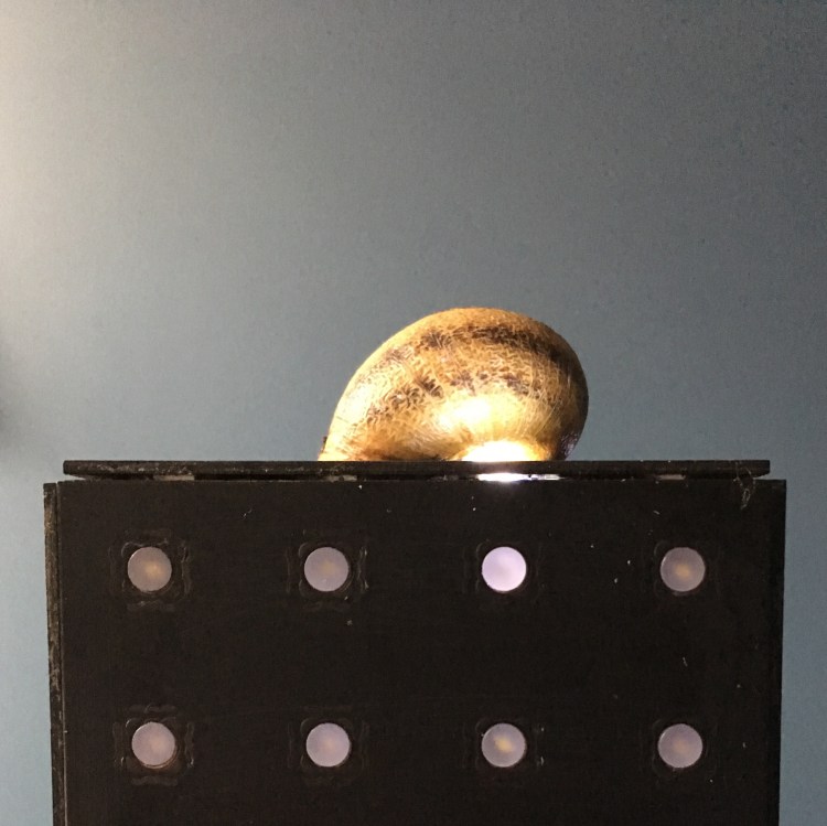 2018-10 Escales en vue 03