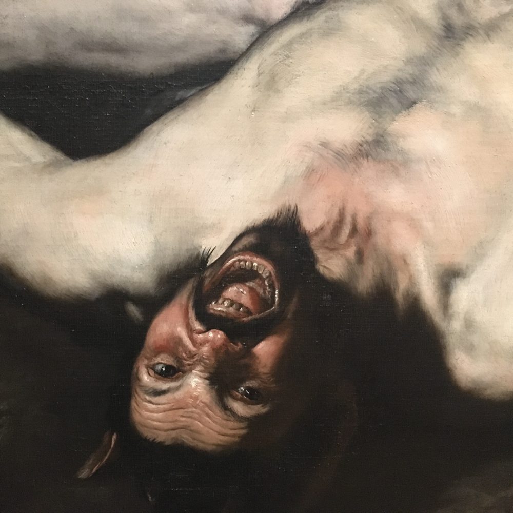 2020-01 Expo Luca Giordano © AAPERTURA 06