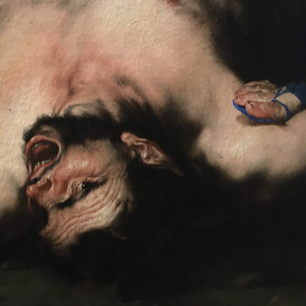 2020-01 Expo Luca Giordano © AAPERTURA 07