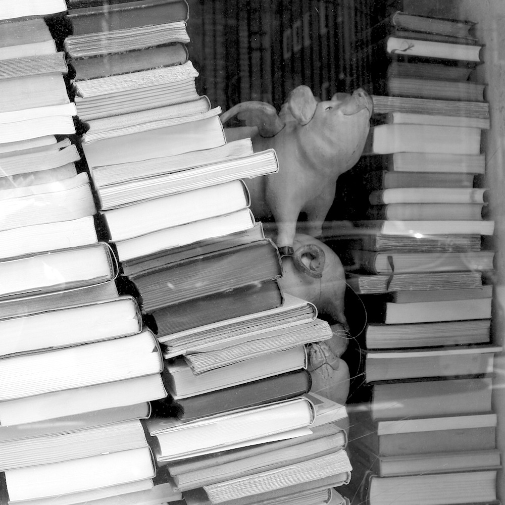 photo © AAPERTURA, Carnet I, 2020