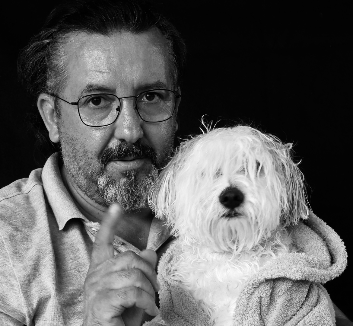 Carlos bichon maltais avec son maître