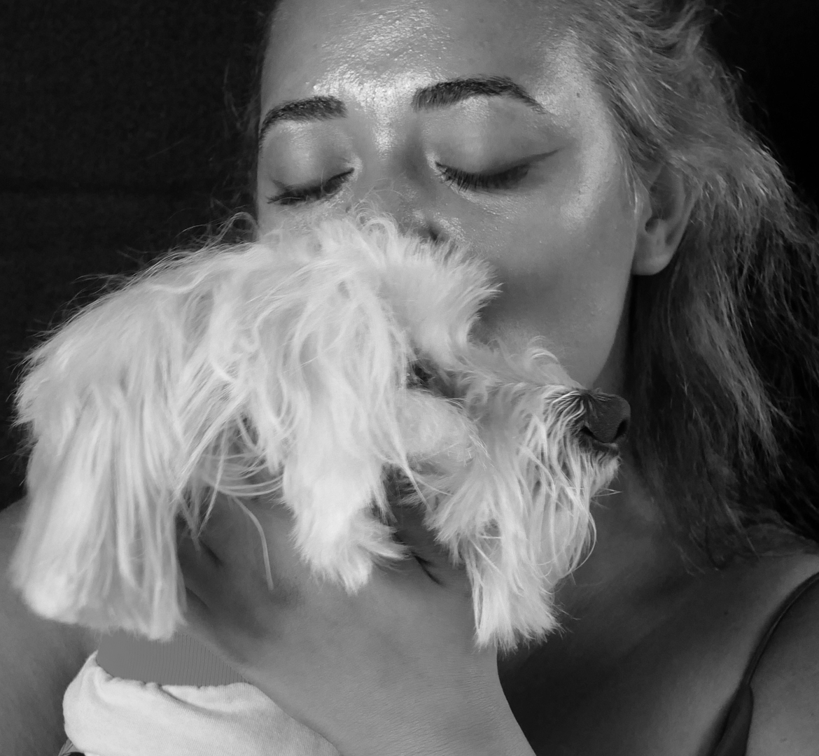 Carlos bichon maltais avec sa maîtresse