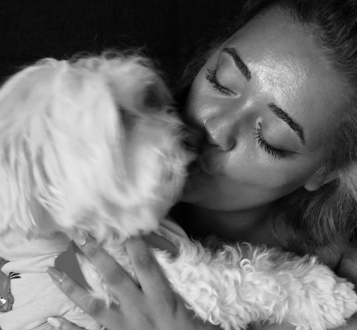 Carlos bichon maltais avec sa maîtresse