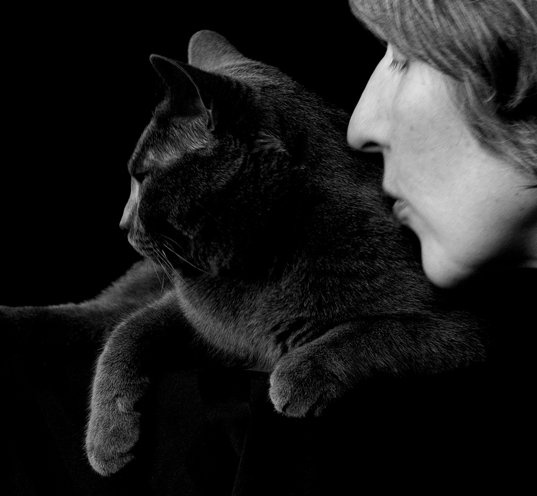 Euterpe, petite chatte chartreuse dans les bras de sa maîtresse