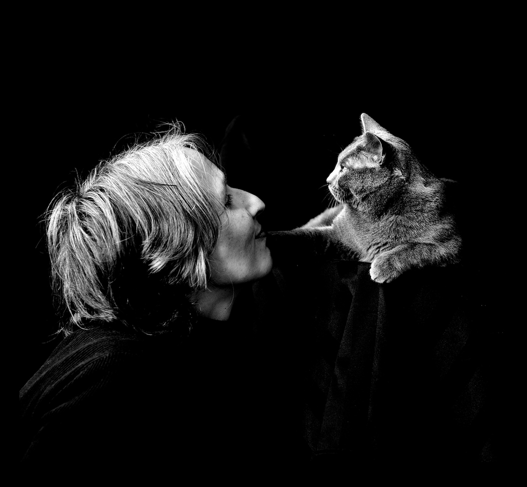 Euterpe, petite chatte chartreuse dans les bras de sa maîtresse