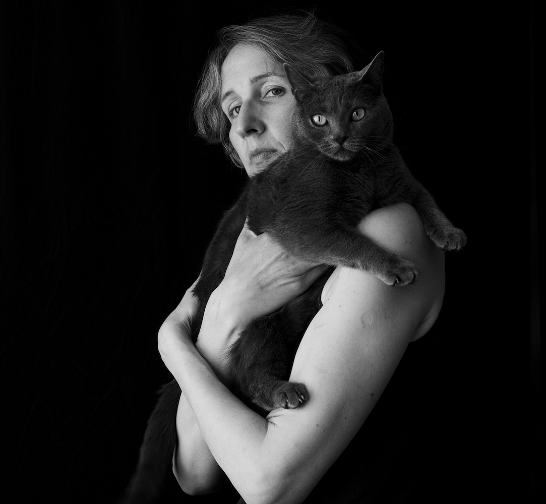 Euterpe, petite chatte chartreuse dans les bras de sa maîtresse