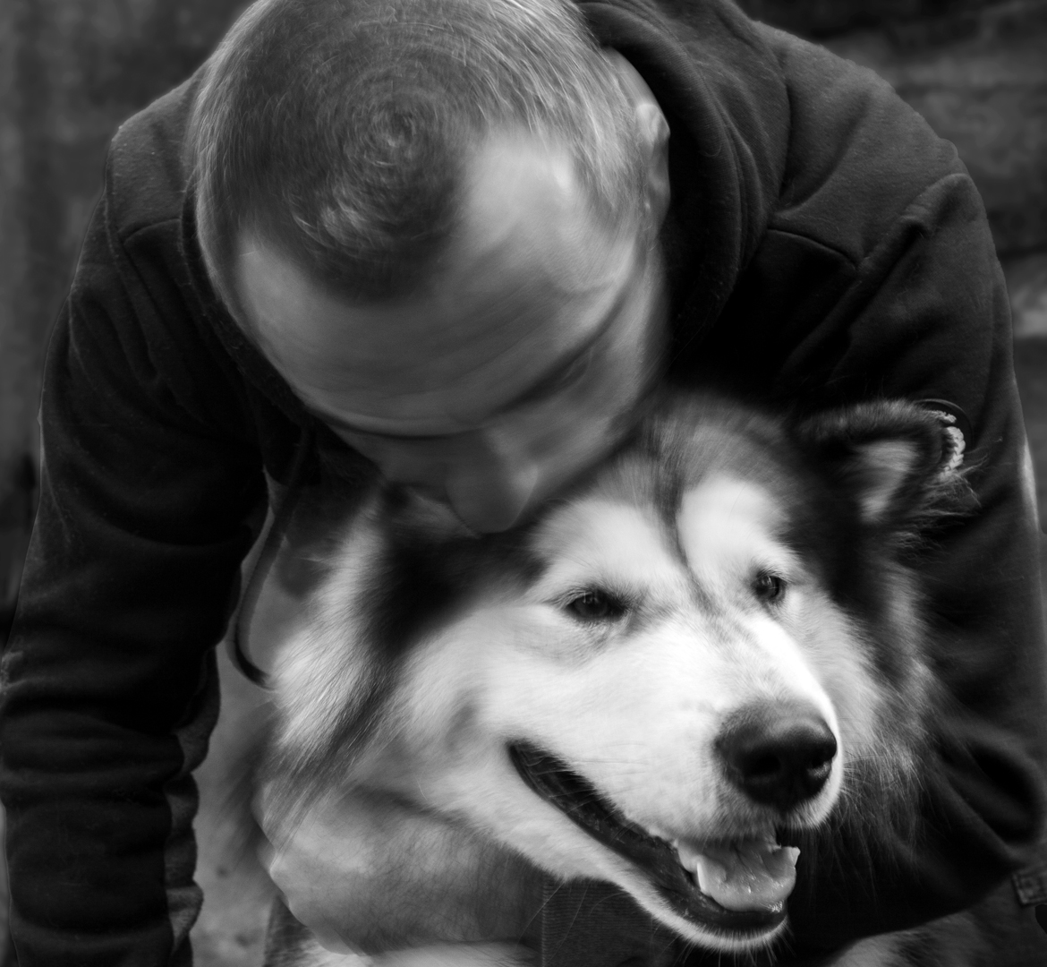 portrait noir et blanc d'Elki, un malamute gris et blanc
