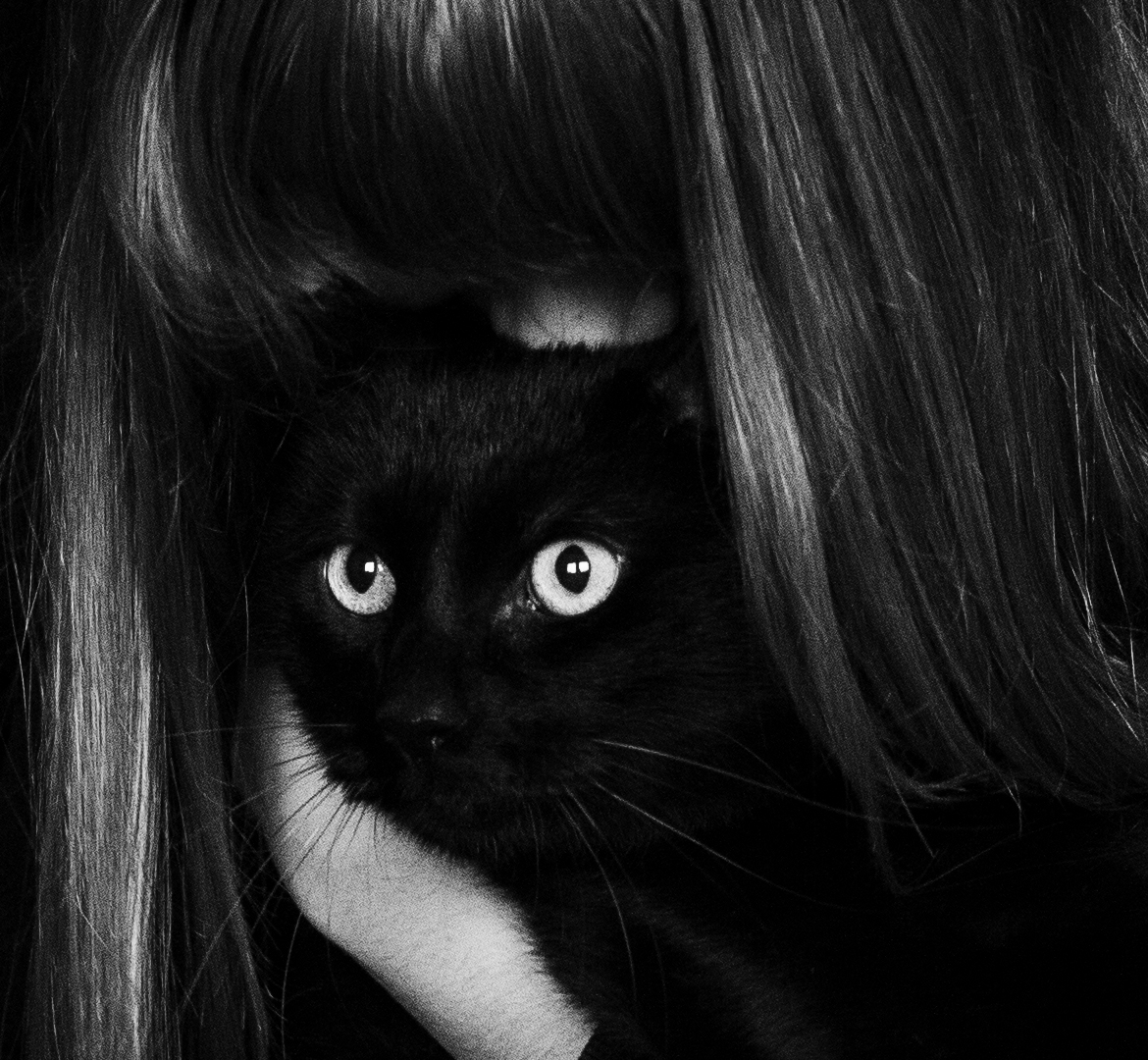 portrait noir et blanc de Romeo, un chat noir avec sa maîtresse