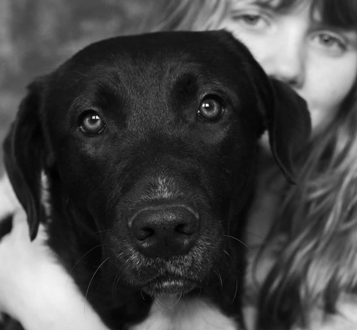 portrait noir et blanc de Cionka, un chien noir