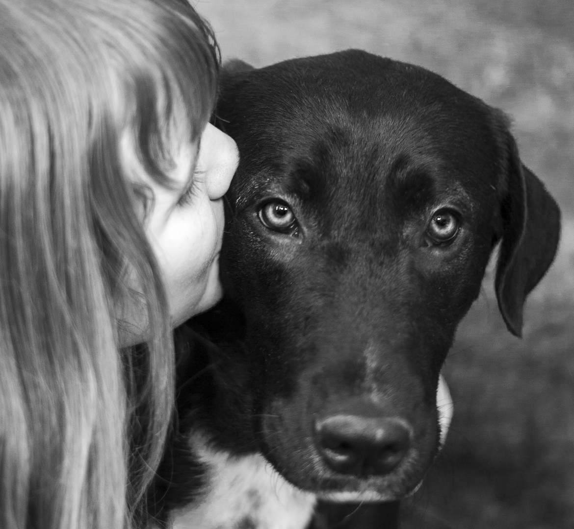 portrait noir et blanc de Cionka, un chien noir