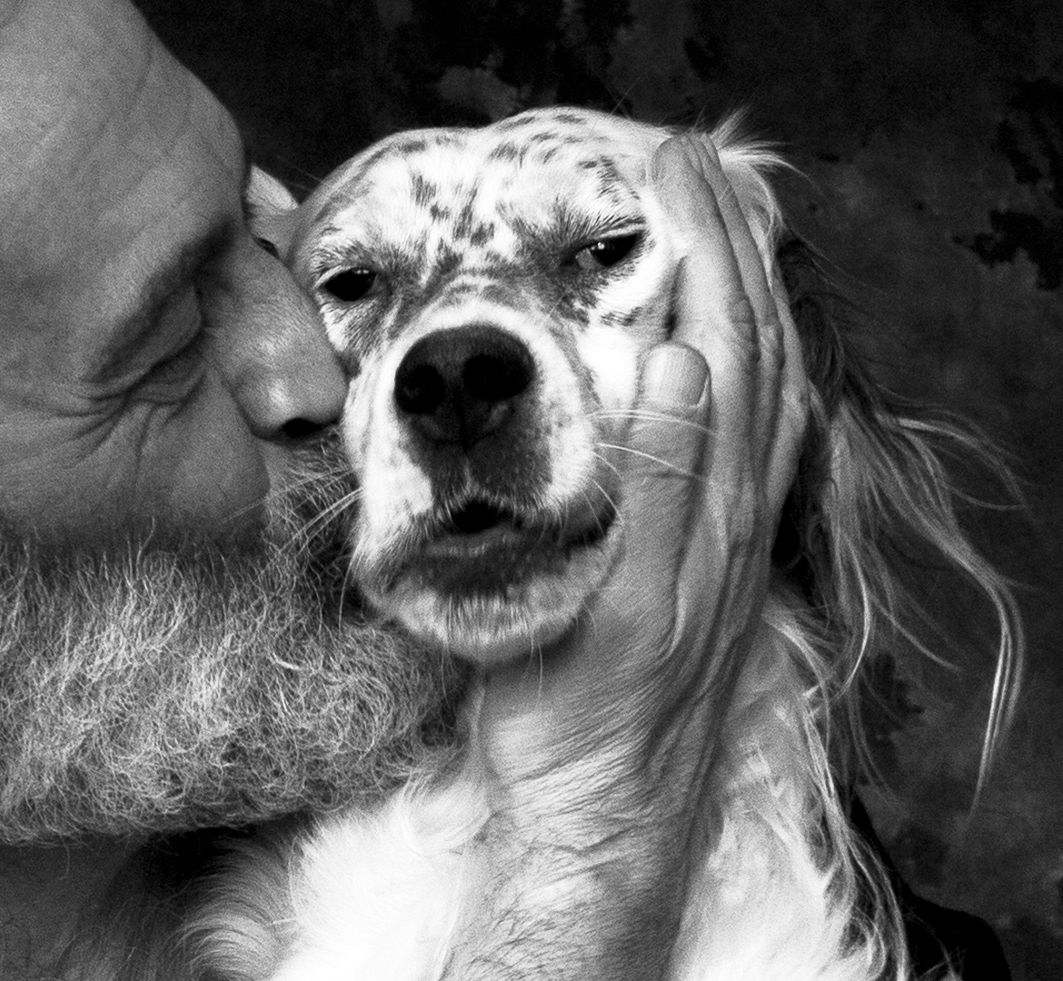 portrait noir et blanc de Lola, une setter anglaise noir et blanc
