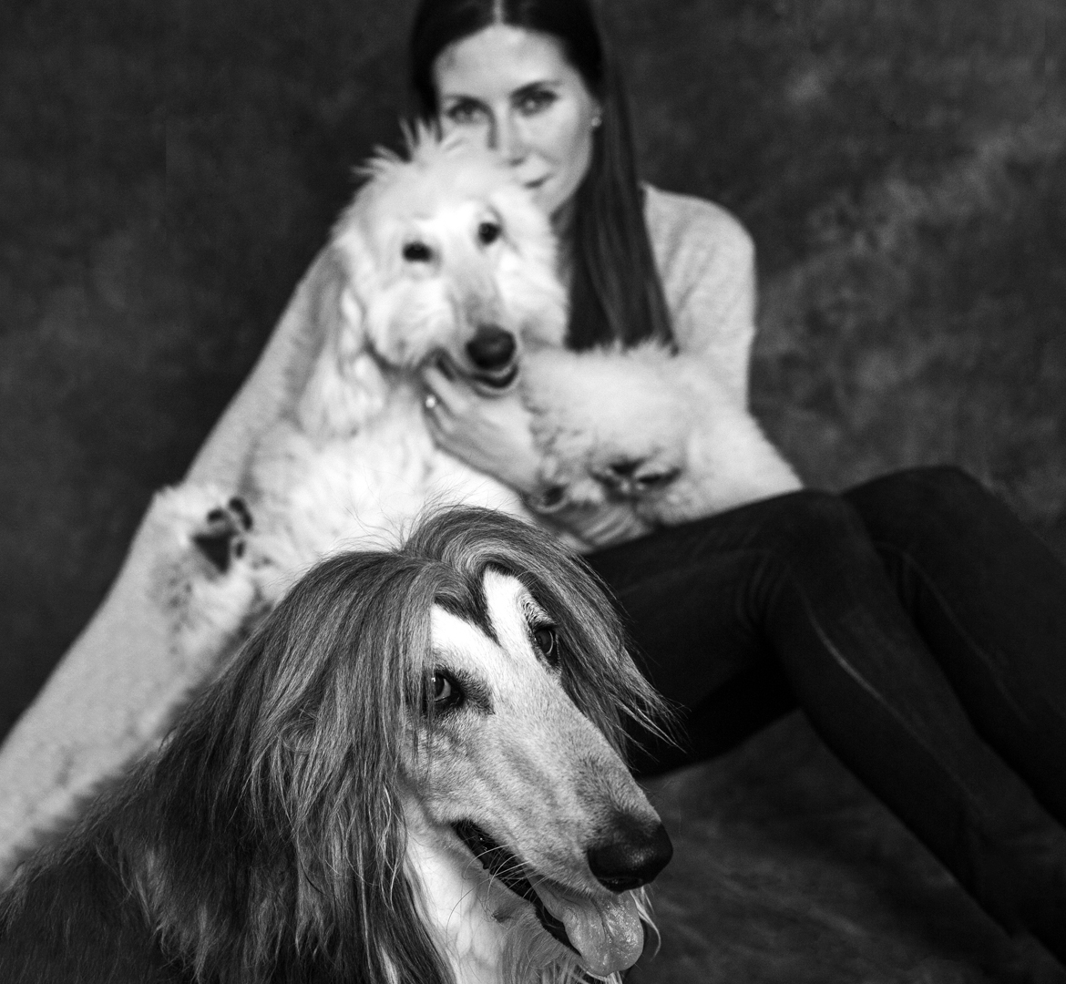 Deux lévriers afghan avec leur maître