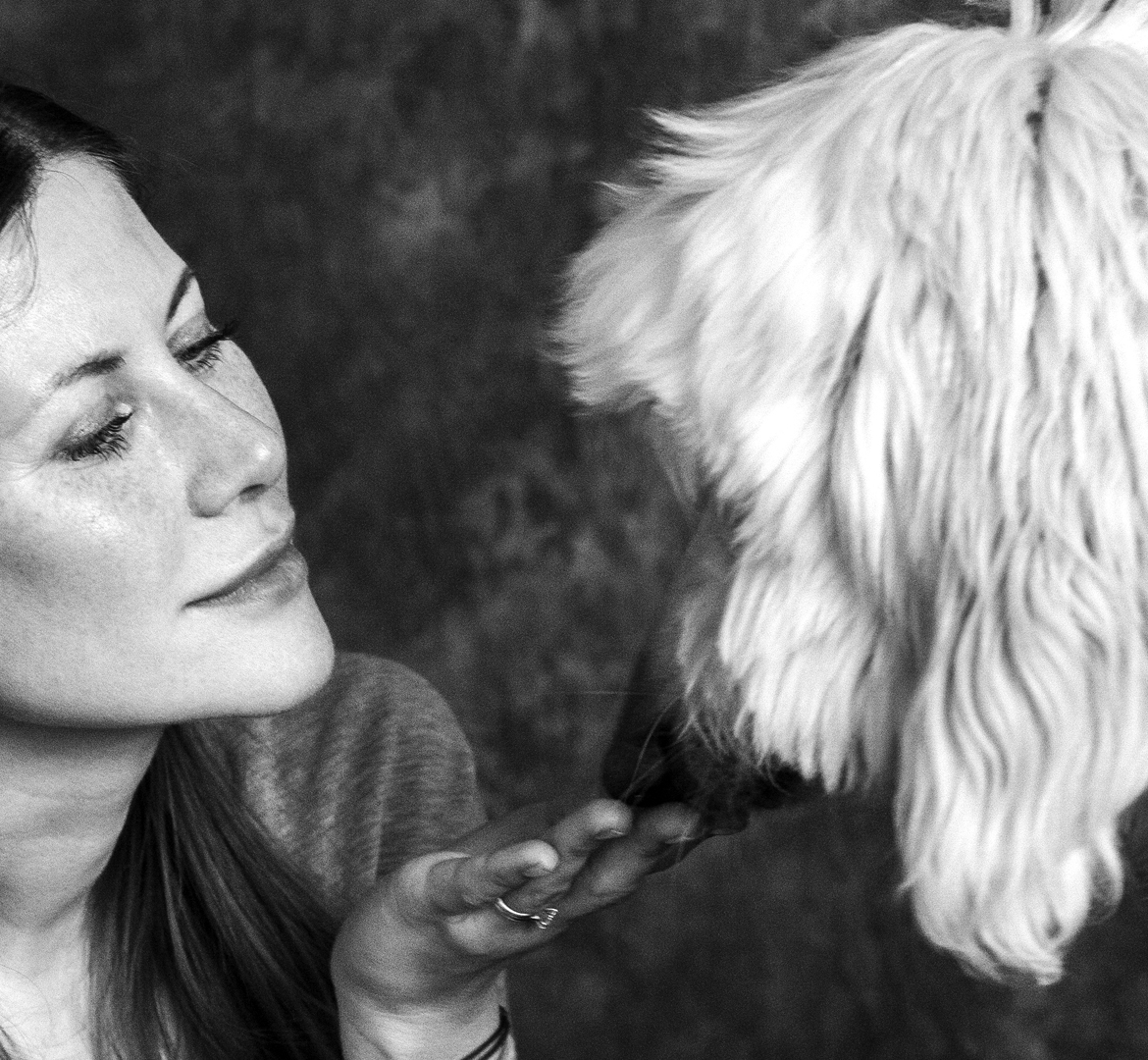 un lévrier afghan avec son maître