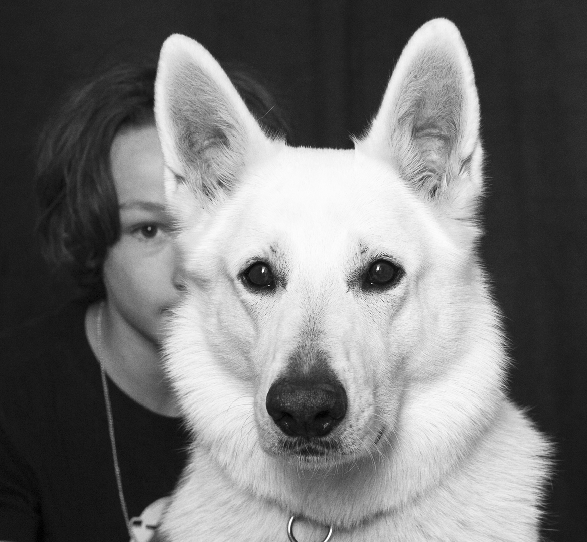 un berger suisse blanc avec son maître