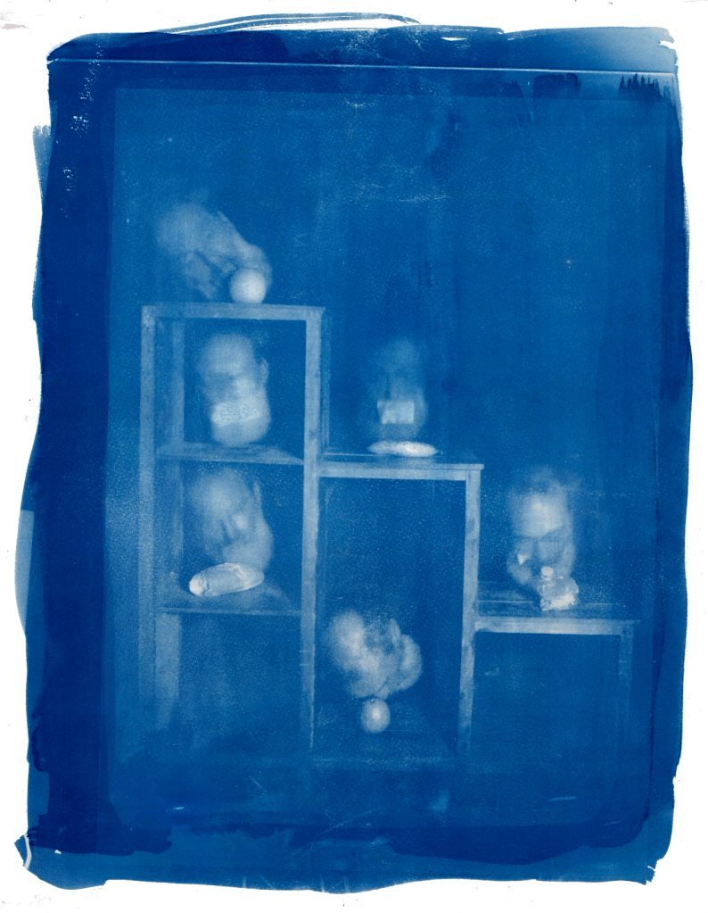 Animotipie in Halos © TANO, 2020, AAPERTURA